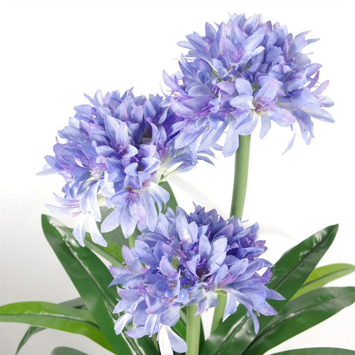 Premium Artificial Agapanthus - 90cm Blue Flower with Pot