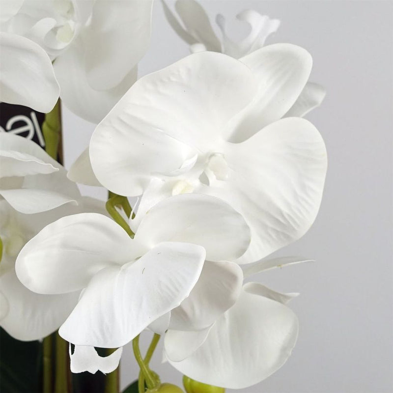 60cm White Artificial Orchid - Lifelike & Stunning - Ceramic Bubble Planter