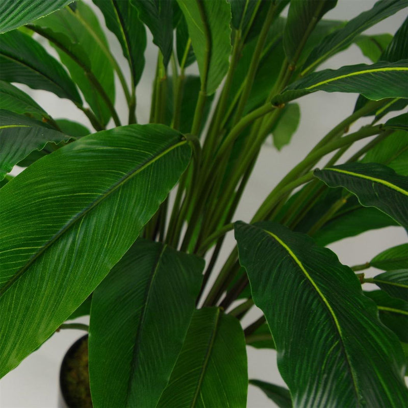 90cm Artificial Calathea Plant Dark Green