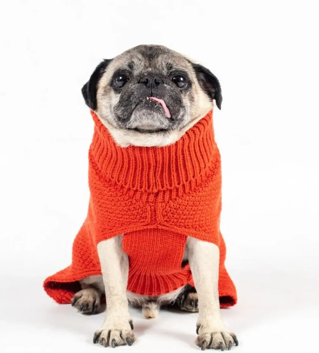 The Jamie Dog Jumper: Burnt Orange | Lycra Strengthened | Leg Slits | Medium to Long | 100% Acrylic