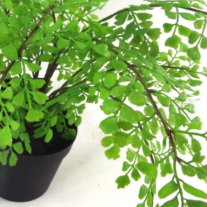 35cm Artificial Potted Fern (Southern Maidenhair Fern) - Luxurious Quality