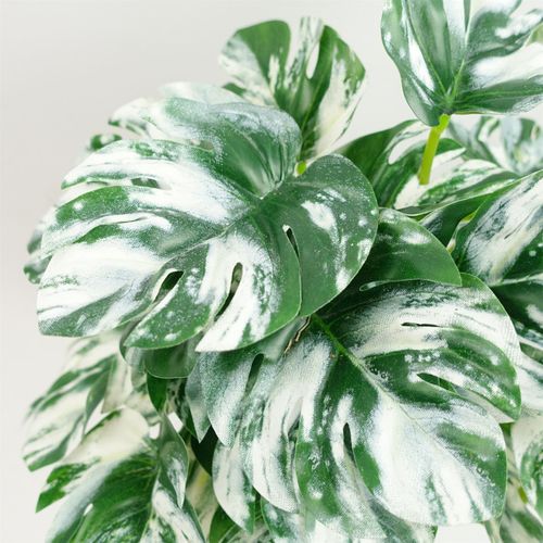 https://images.avasam.com/?url=https://avasamnew.s3.amazonaws.com/product/GB010188/S0671599760/2.png&w=500