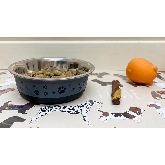 Pawfect Non-Slip Pet Bowl, 0.5L Grey Stainless Steel