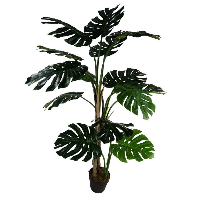 150cm Luxury Monstera Plant - Realistic, Black Pot