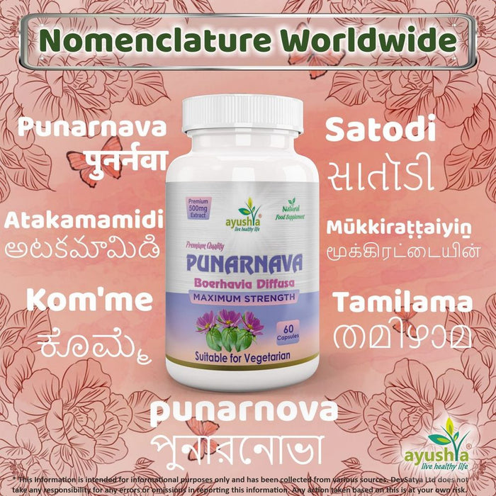 Punarnava Capsule (Boerhavia Diffusa) - Rejuvenate with this Potent Ayurvedic Herb - High Quality & All-Natural