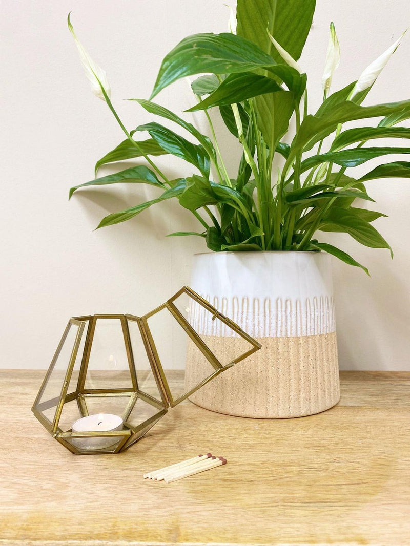 Rustic Bronze Glass Tea Light Holder - High-Quality Metal & Glass - Elegant Home Decor - D10 x H10 x W10cm