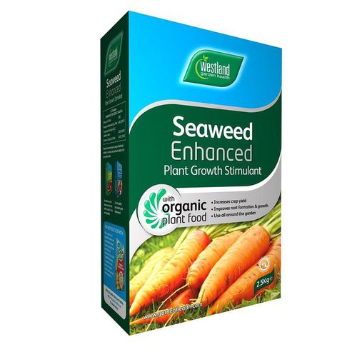 https://images.avasam.com/?url=https://avasamnew.s3.amazonaws.com/live//49694752186_a064859a6c_c_1024x1024_2x_4c803594-61a9-4d40-98b3-98a7366342b3.jpg&w=500