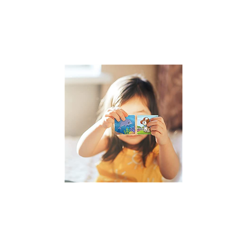 Cardboard Memory Matching Cards Animal