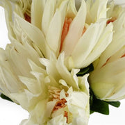 https://images.avasam.com/?url=https://avasamnew.s3.amazonaws.com/product/GB010188/S0671589514/4.png&w=500