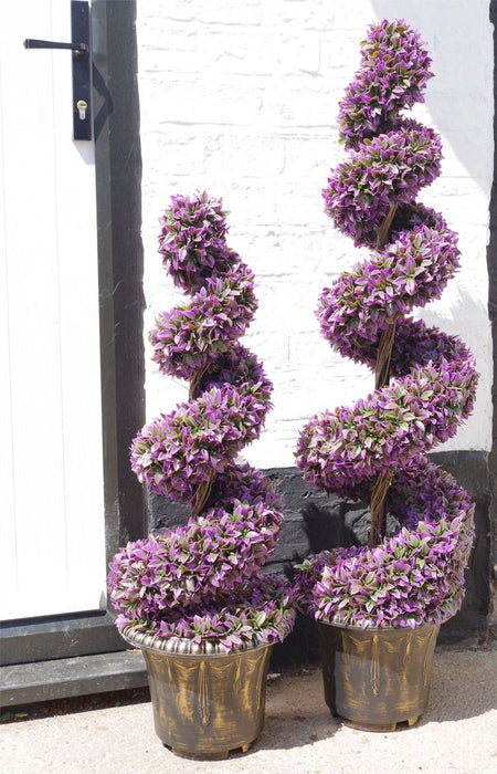 Stunning 120cm Pair of Purple Large Leaf Spiral Topiary Trees with Decorative Planters