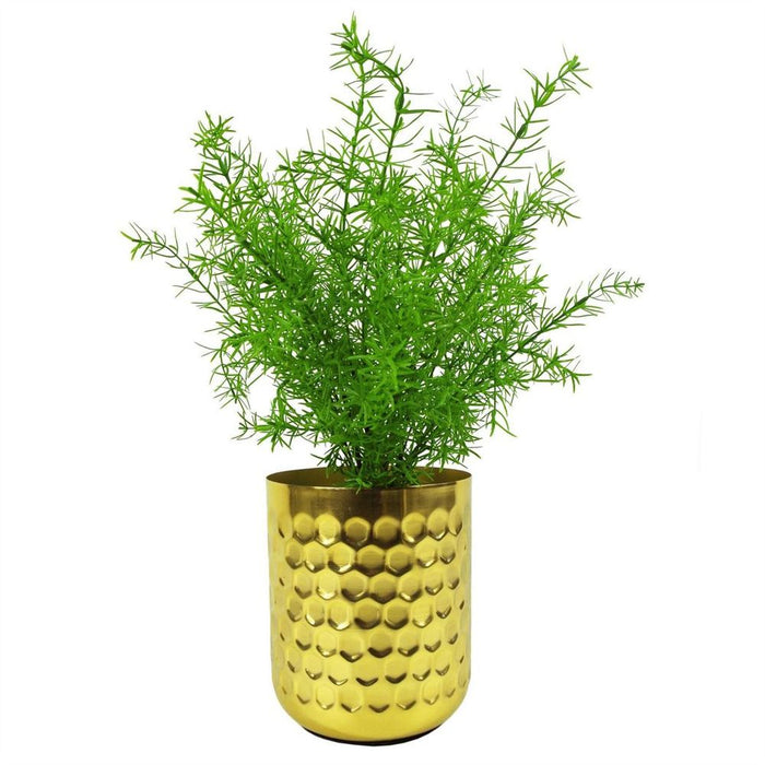 High-Quality 45cm Artificial Asparagus Fern Plant - Lifelike Replica for Low-Light Areas