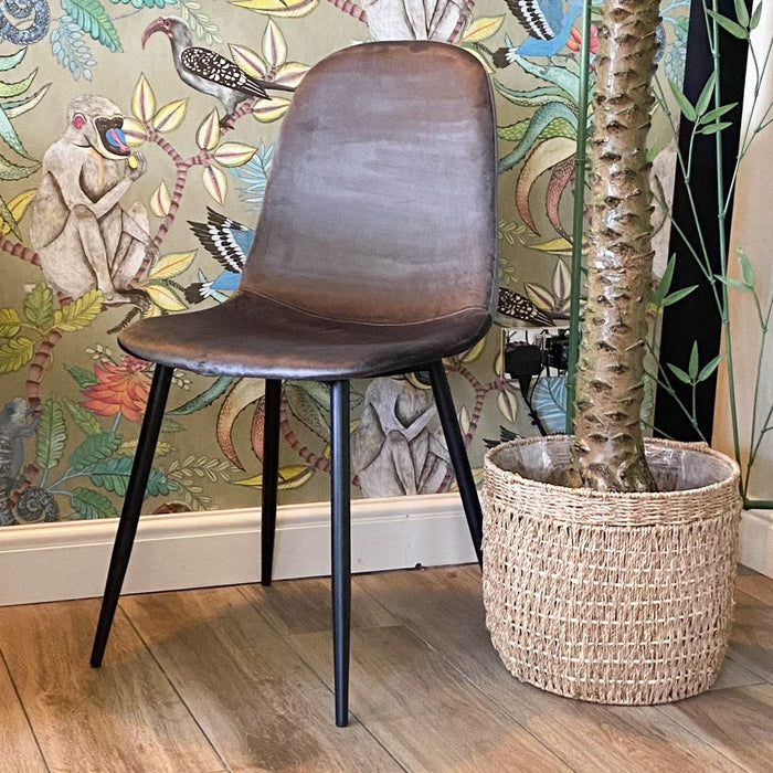 Premium Velvet Grey Chair with Stylish Black Metal Legs