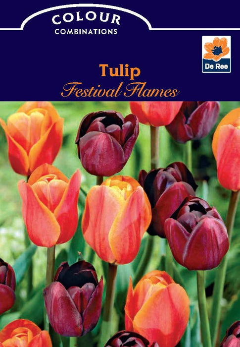 Tulip Festival Flames (6 Bulbs)