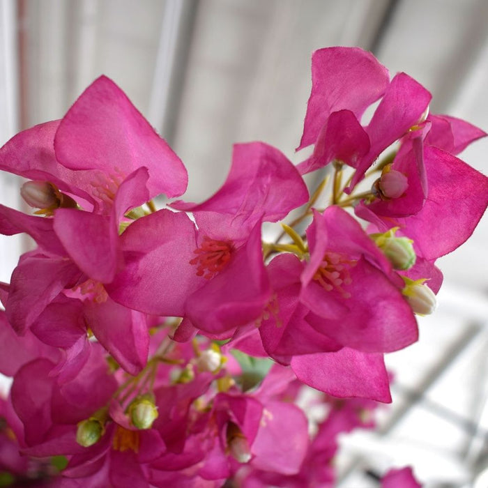 Synthetic Bougainvillea Spray Purple 119cm - Vibrant Artificial Flowers