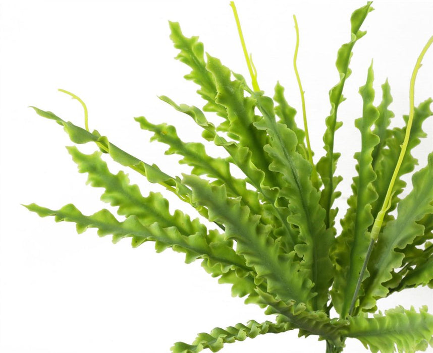 12 x 40cm Artificial Crocodile Fern Plant