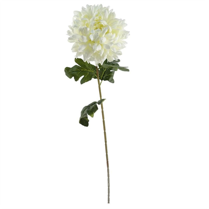 6-Pack XL Silk White Reflex Chrysanthemum - 75cm - Perfect for Arrangements