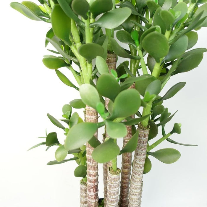 Premium Replica 75cm Green Jade Plant - Realistic and Stylish