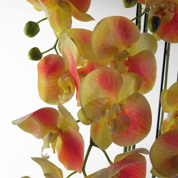 110cm Large Yellow Peach Orchid Plant - 41 REAL TOUCH Flowers