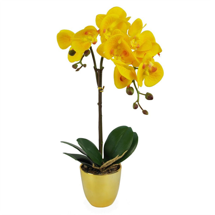 Premium 48cm Golden Orchid - Real Touch Yellow Flowers with Gold Pot