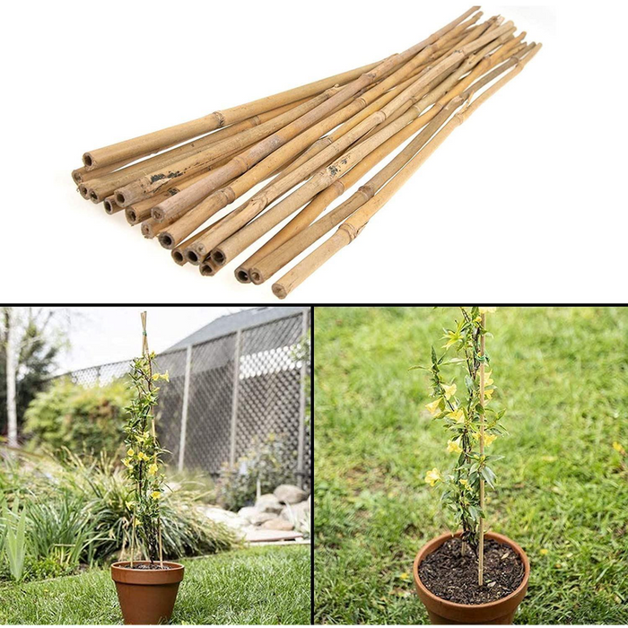 Bamboo Canes Sticks | 90CM | Pack of 20 | High Quality