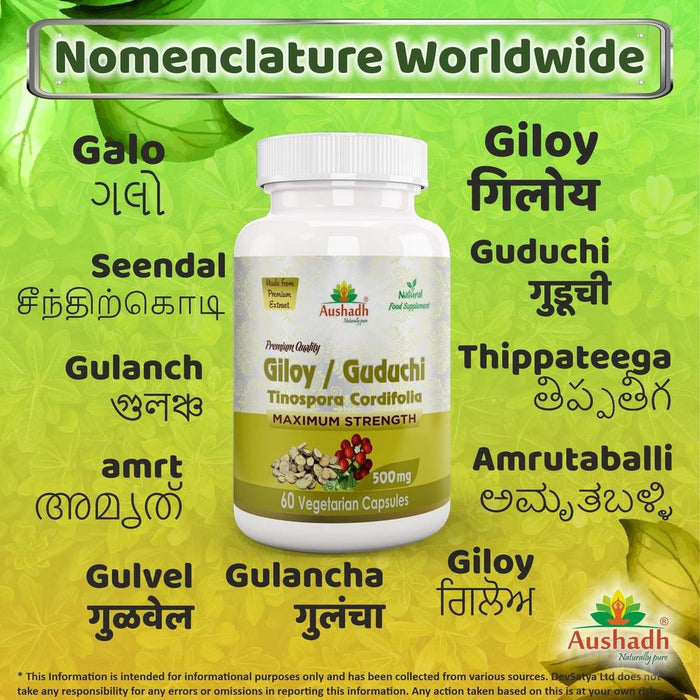 Pure and Potent Giloy Guduchi Capsule (Tinospora Cordifolia)