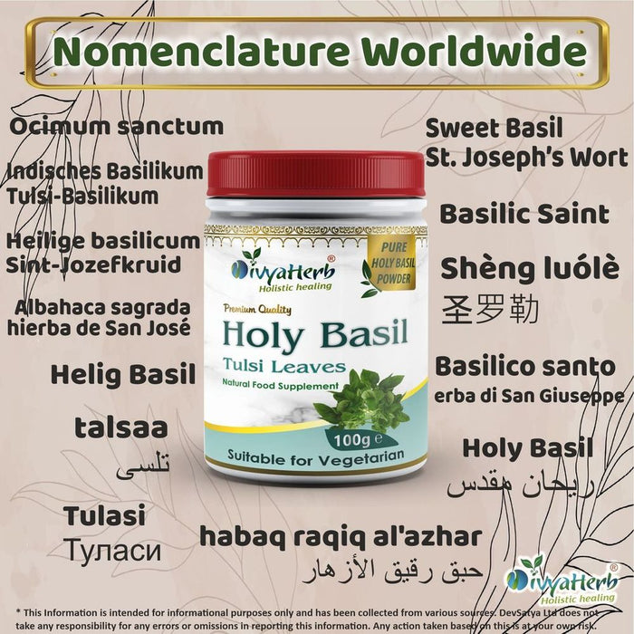 Holy Basil (Tulsi) Powder - Best Quality, Professional Seller - Buy with Confidence!