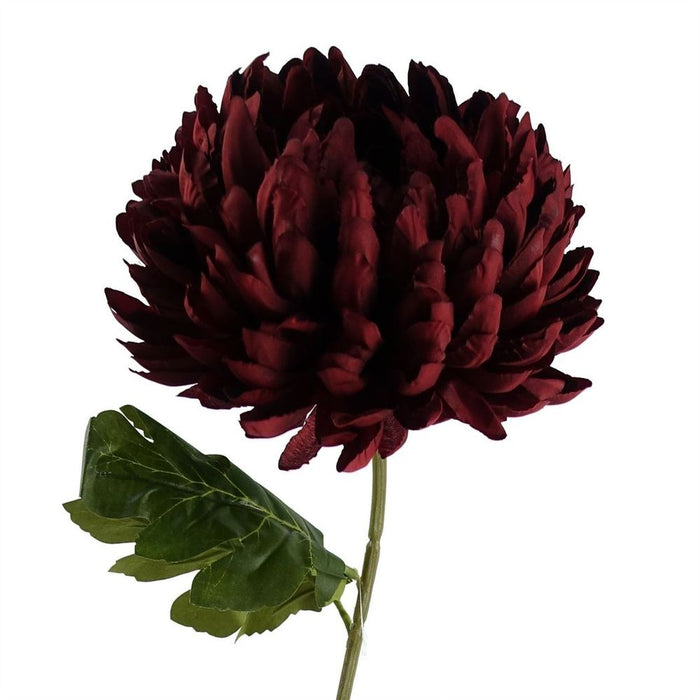 6x 75cm Extra Large Reflex Chrysanthemum - Red - High-Quality Silk Petals