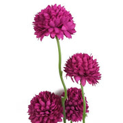 https://images.avasam.com/?url=https://avasamnew.s3.amazonaws.com/product/GB010188/S0671589096/5.png&w=500