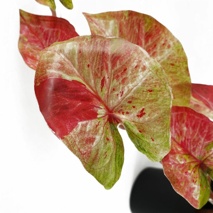 Premium Quality 35cm Artificial Trailing Hanging Plant Pink Splash Caladium - Realistic & Durable