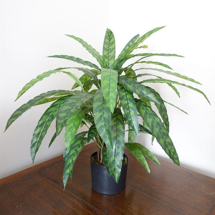 High-Quality 60cm Variegated Artificial Calathea Plant