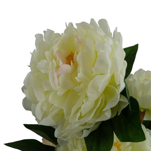 https://images.avasam.com/?url=https://avasamnew.s3.amazonaws.com/product/GB010188/S0671599761/3.png&w=500