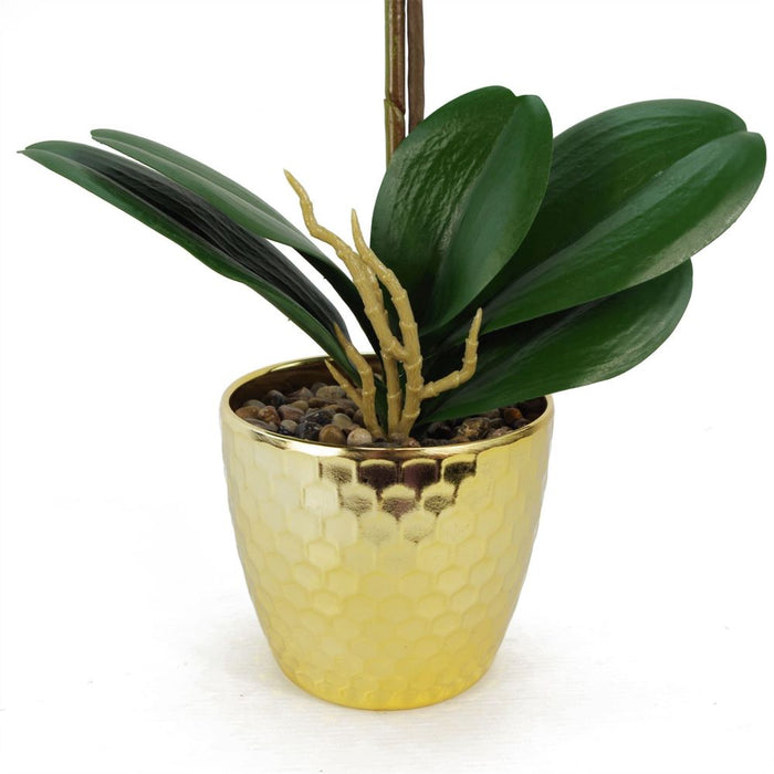 50cm Phalaenopsis Orchid Artificial - Red Leopard - Gold Pot