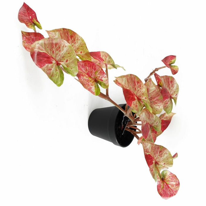 Realistic Trailing Hanging Plant - Pink Splash Caladium - 35cm Artificial Plant