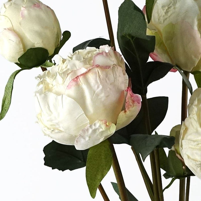 Premium Cream Peony Artificial Flower Stems - 6 Bundles, 24 Flowers, 18 Buds