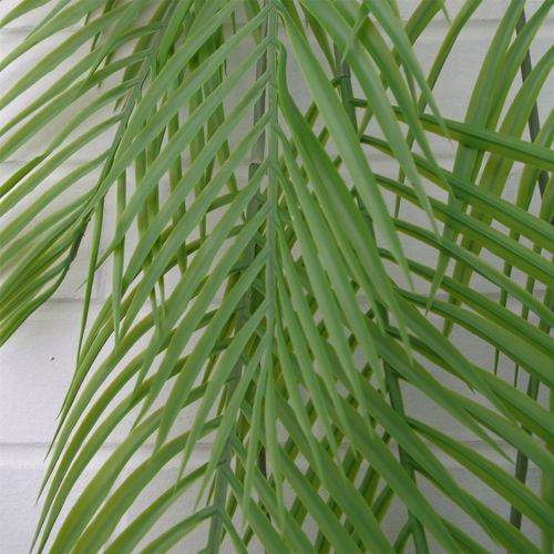 Pack of 12 x 120cm Artificial Hanging Palm Plant
