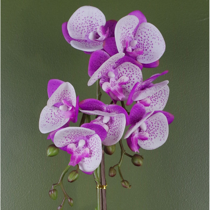 50cm Phalaenopsis Orchid Artificial Purple and White Gold Pot