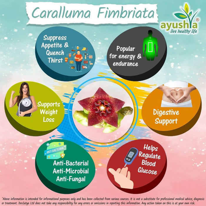 Caralluma Fimbriata Capsule - Natural Appetite Suppressant for Weight Loss, Enhanced Endurance - High Quality