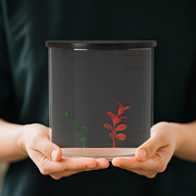 https://images.avasam.com/?w=500&url=https://avasamnew.s3.amazonaws.com/product/GB010126/S0671659337/8.png