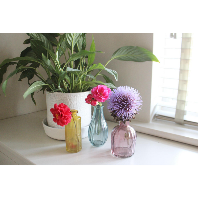 Premium Boho Glass Vases - Set of 3 | Colorful & Elegant Décor