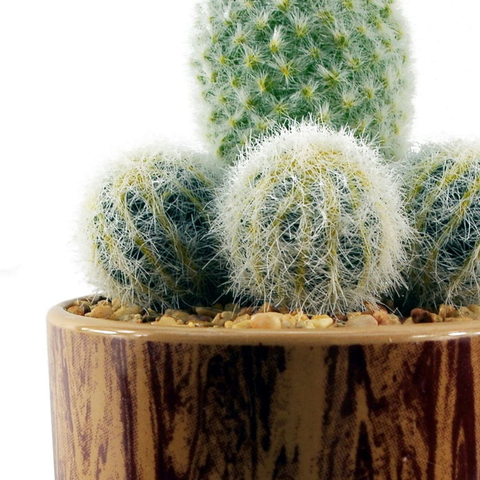 Realistic 20cm Artificial Cactus in Ceramic Planter