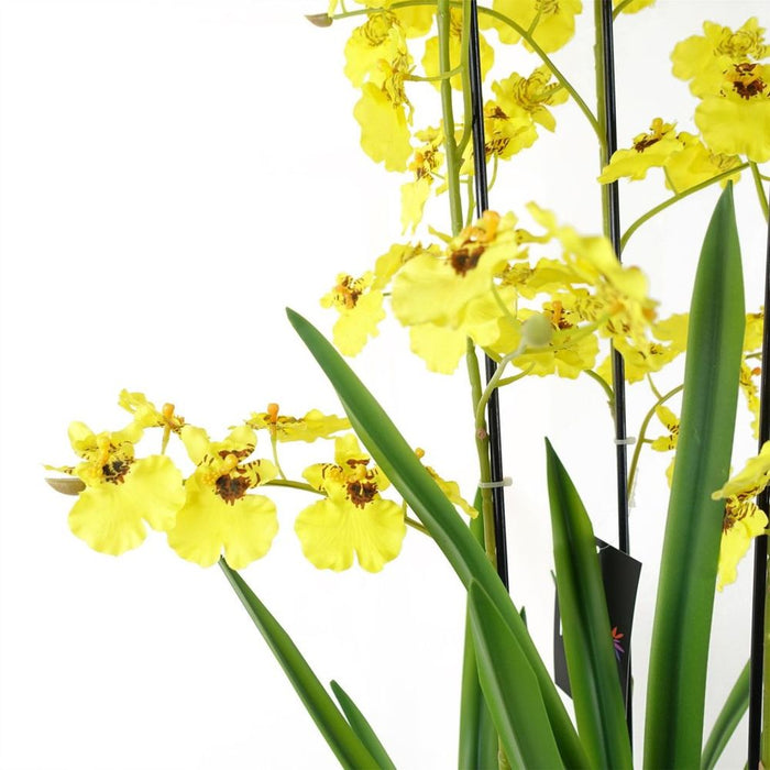 105cm Oncidium Artificial Orchid Yellow in Stoneware Planter