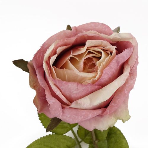 https://images.avasam.com/?url=https://avasamnew.s3.amazonaws.com/product/GB010188/S0671589506/1.png&w=500