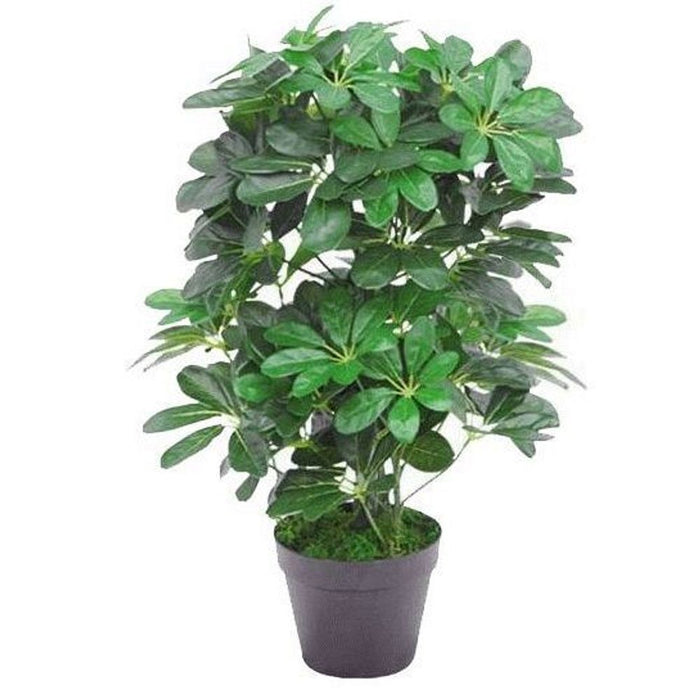 High Quality 55cm Dark Green Artificial Schefflera Arboricola Plant