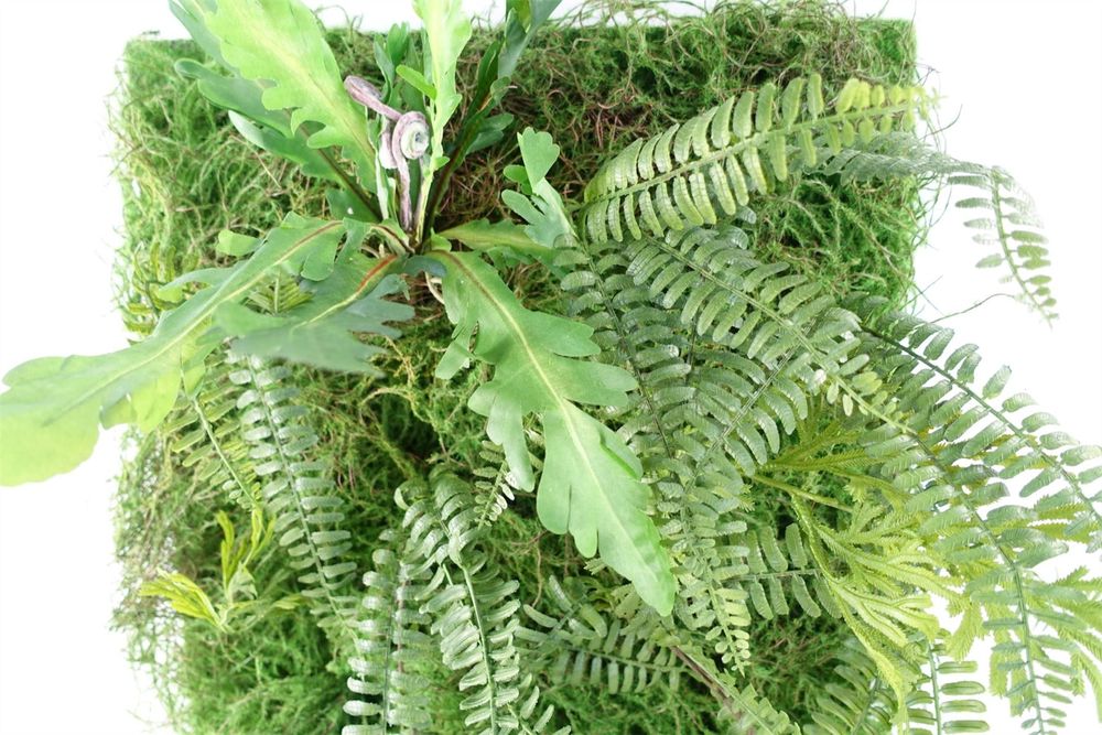 Premium 60cm Artificial Green Wall Fern - High-Quality 3D Panel with Moss & Ferns - Easy to Hang - Create Stunning Indoor & Outdoor Spaces