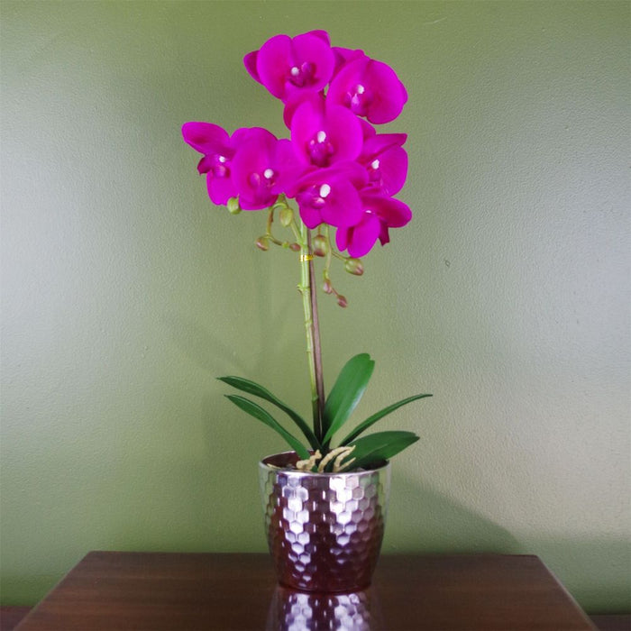 Exquisite 50cm Phalaenopsis Orchid Artificial Dark Pink Silver