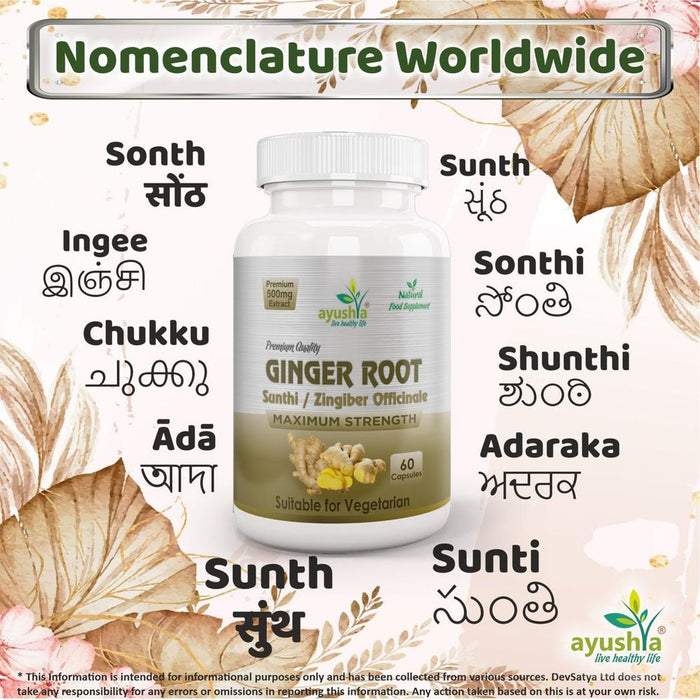 Ginger Root (Sunthi) Capsule - Best Quality, Health Benefits, Aromatic Spice - Buy Now!