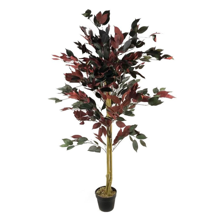 Premium 120cm Dark Red Green Ficus Plant - XL Size, Realistic Detail - Trusted Seller