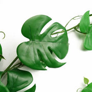 https://images.avasam.com/?url=https://avasamnew.s3.amazonaws.com/live/GB010188/S0671265496_12.jpg&w=500