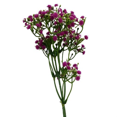 https://images.avasam.com/?url=https://avasamnew.s3.amazonaws.com/product/GB010188/S0671589538/2.png&w=500