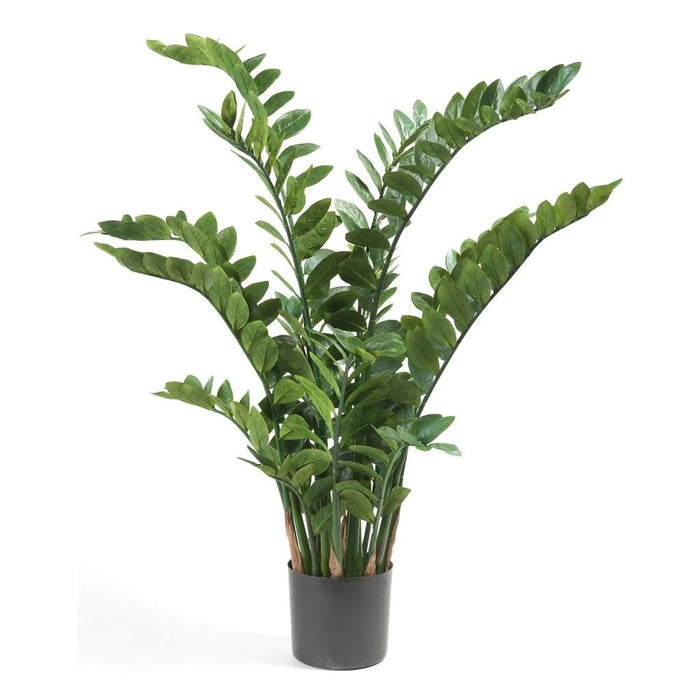 Exotic Zamioculcas Tree 4.2ft: Lifelike Indoor/Outdoor Foliage - Fast Delivery